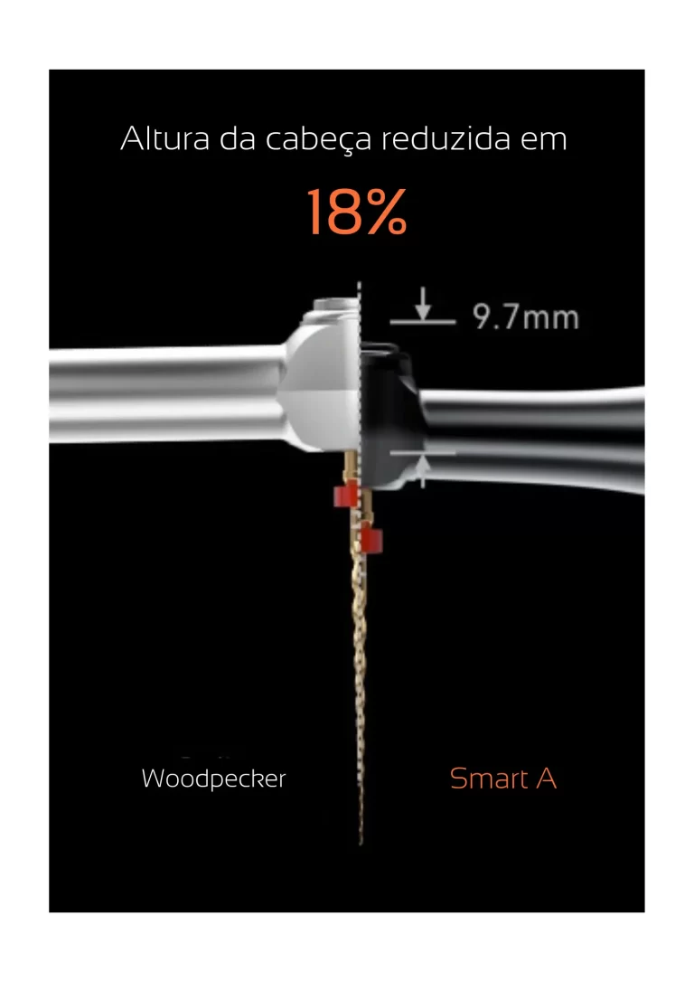 Woodpecker Smart A