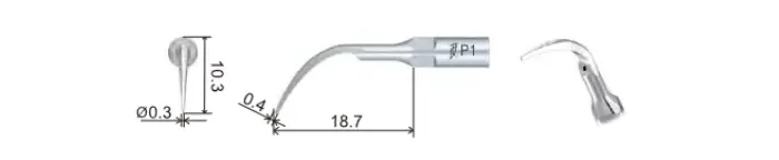 DTE PD1T